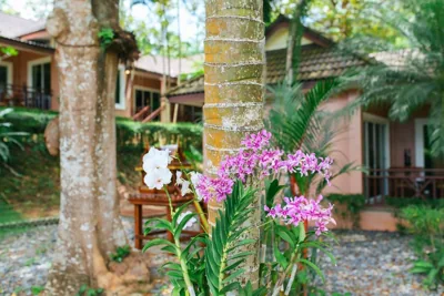 Thai Modern Resort & Spa "Newly Renovated" – Photos 8